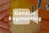 About Genetic Engineering