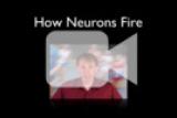 About Neurons Firing