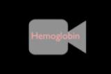 About Hemoglobin