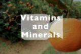 About Vitamins and Minerals