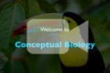 Welcome to Conceptual Biology